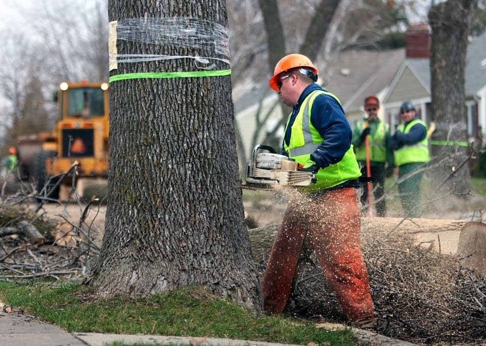 Tree Service New Hampshire