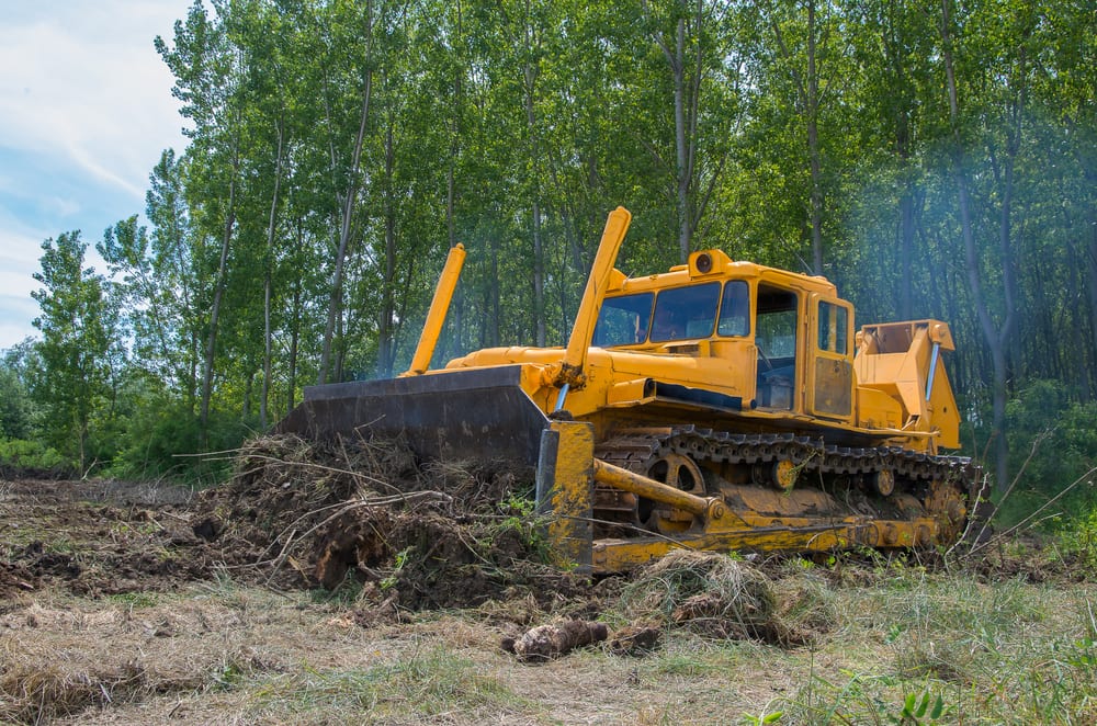 Land & Lot Clearing Services